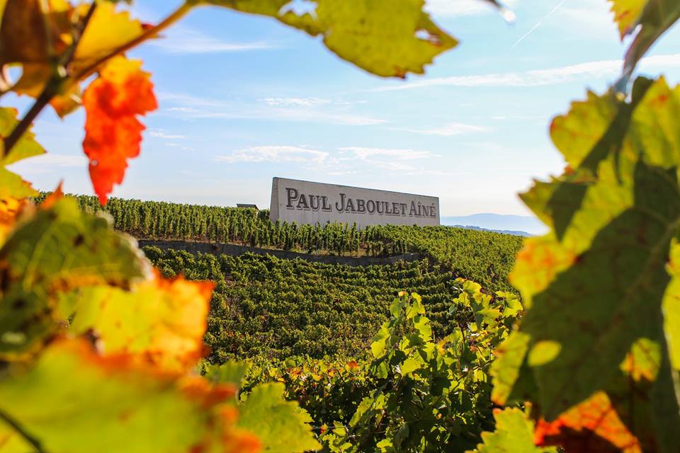 Special release - Paul Jaboulet Aîné wines