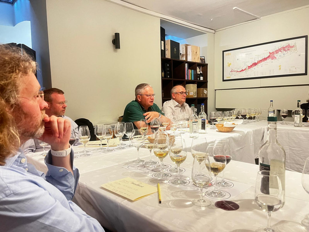 Fabulous Sophie Schaal Tasting in South Ken cellar