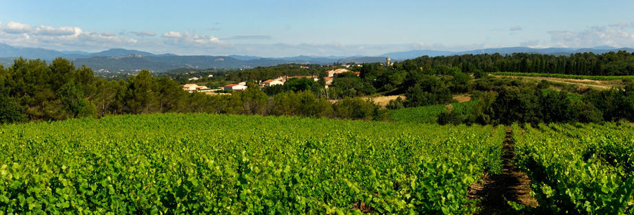 Producer Focus – Domaine du Grand Chemin, Languedoc Roussillon