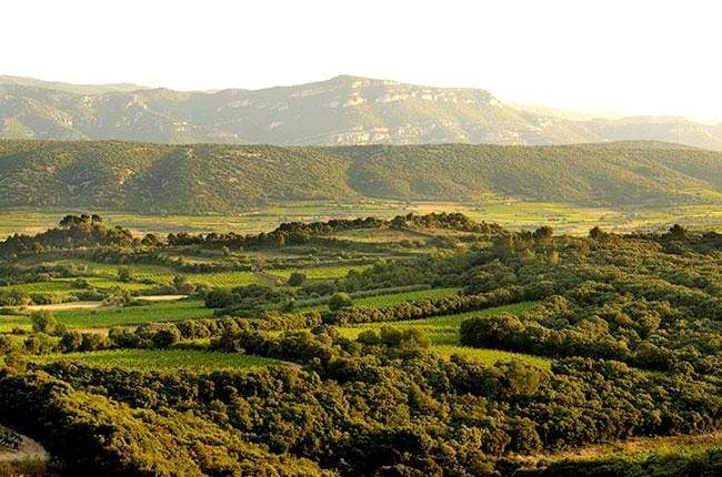 mas de daumas gassac