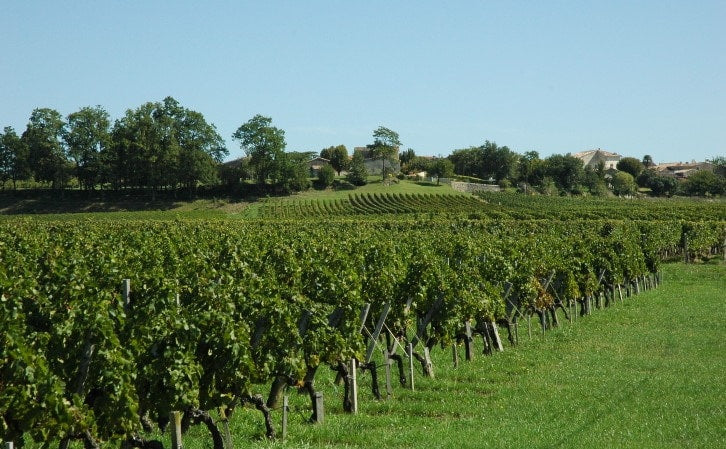 Vieux Château Saint André 2014
