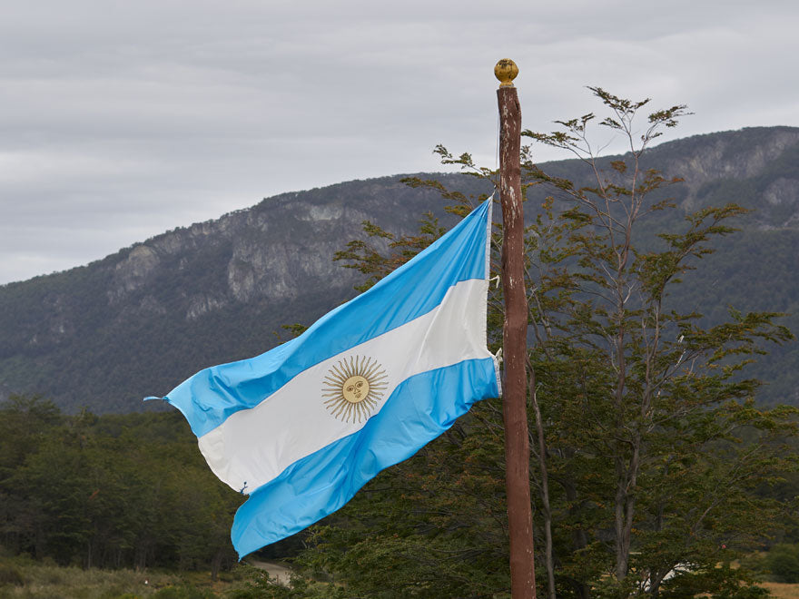 Argentinian Wine