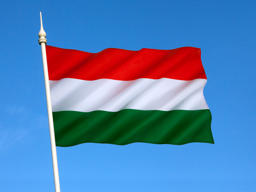 Hungarian Wine