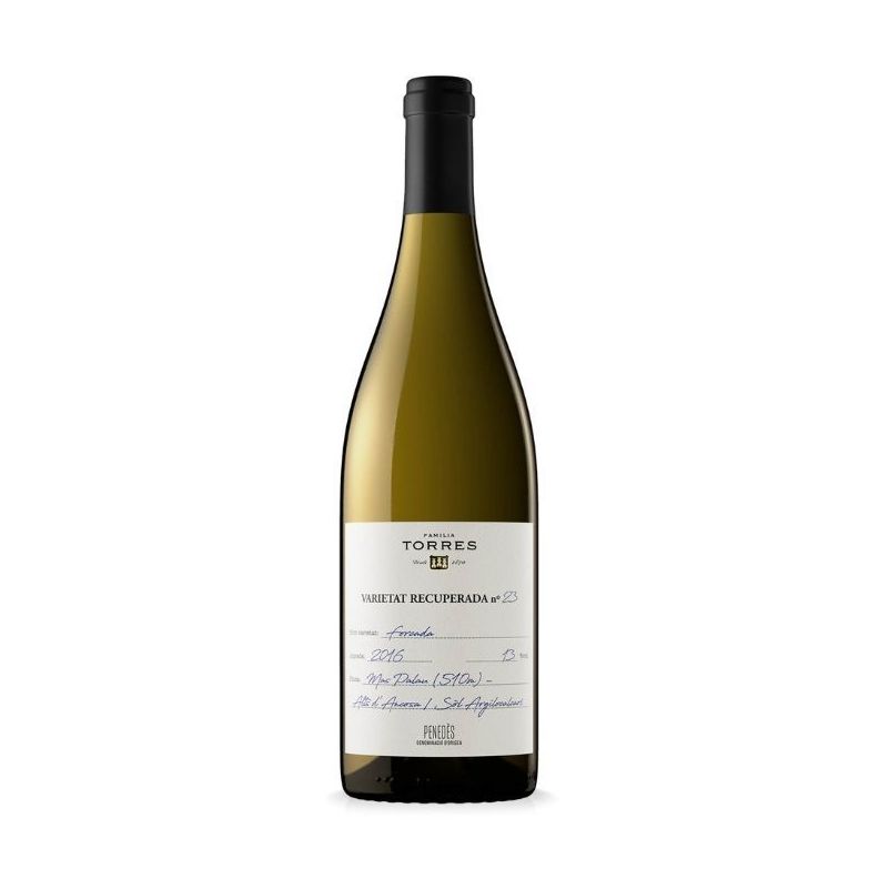 Torres, Penedes, Forcada