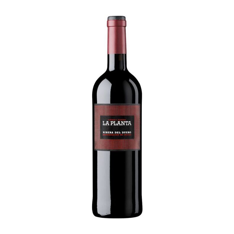 Arzuaga, Ribera del Duero, Planta