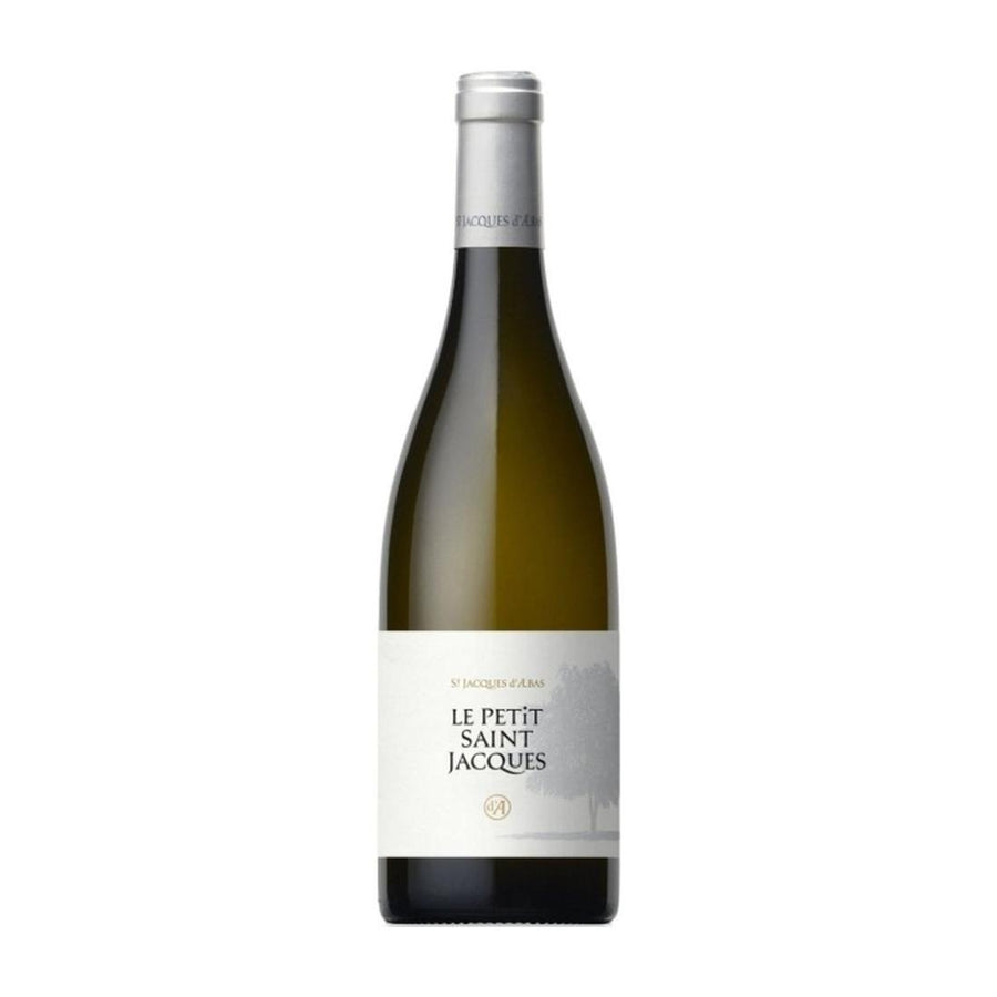 Petit Saint Jacques Blanc
