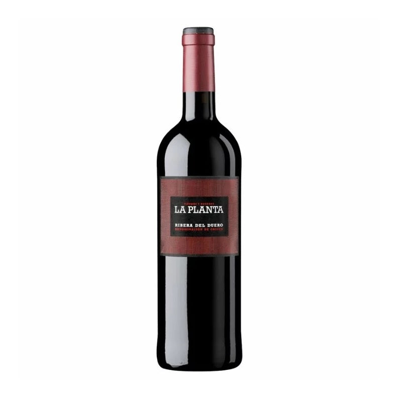 Arzuaga, La Planta, Ribera del Duero