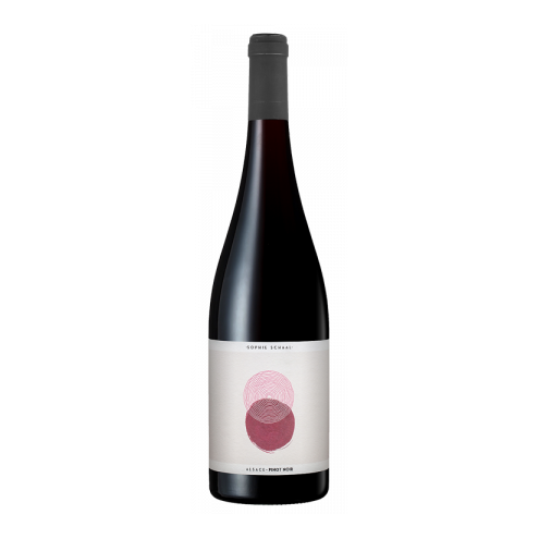Sophie Schaal, Pinot Noir, Alsace