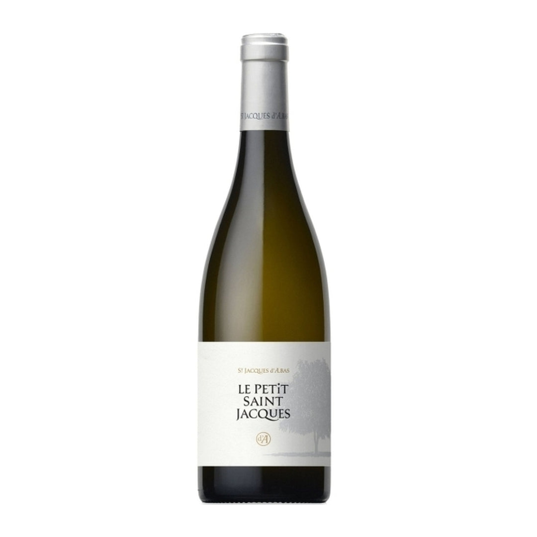 Petit Saint Jacques Blanc