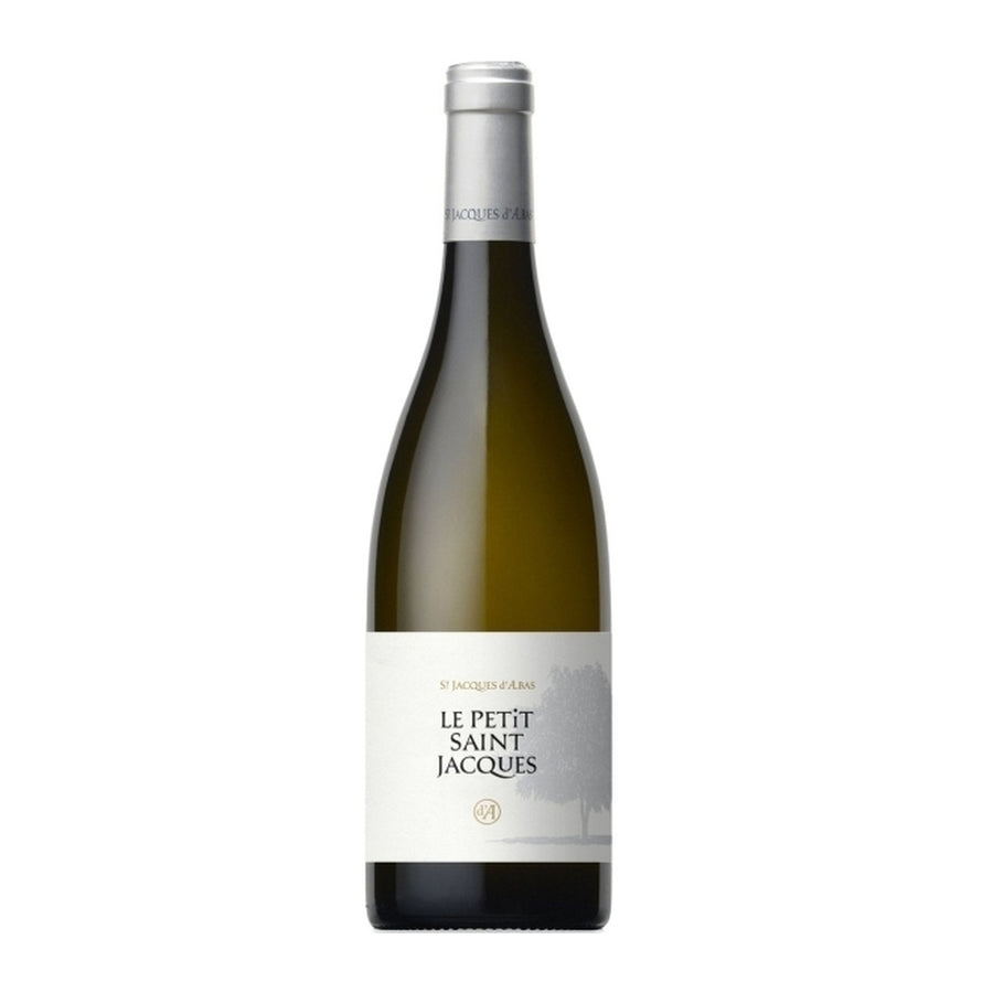 Petit Saint Jacques Blanc