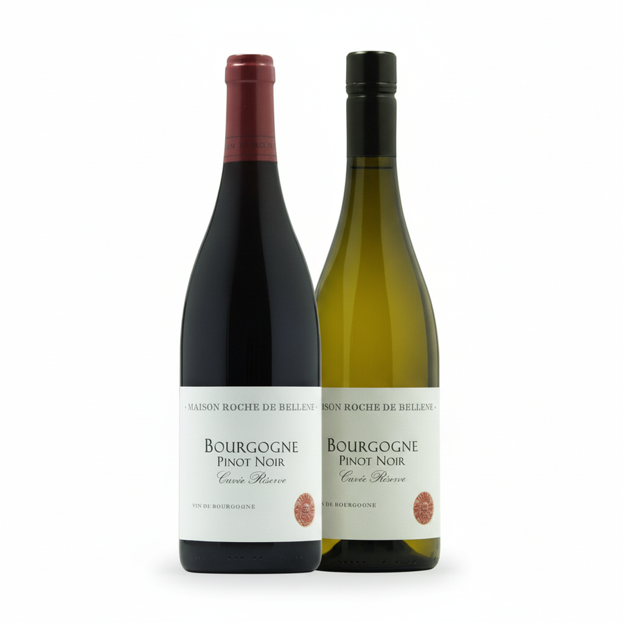 Introduction to Burgundy