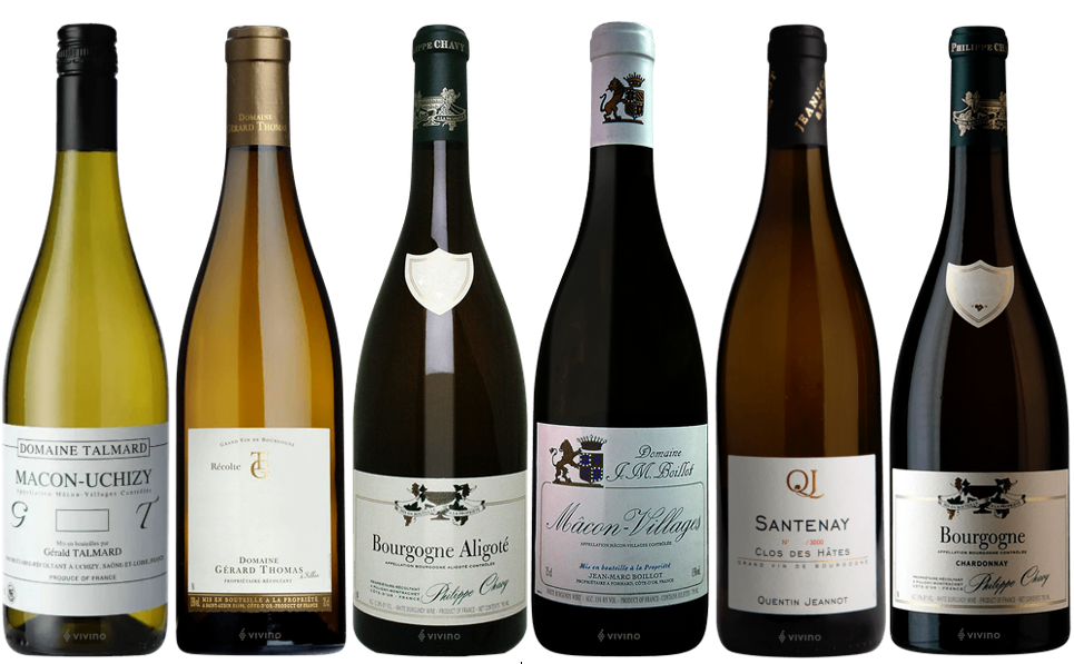 White Burgundy Box (6 Bottles)